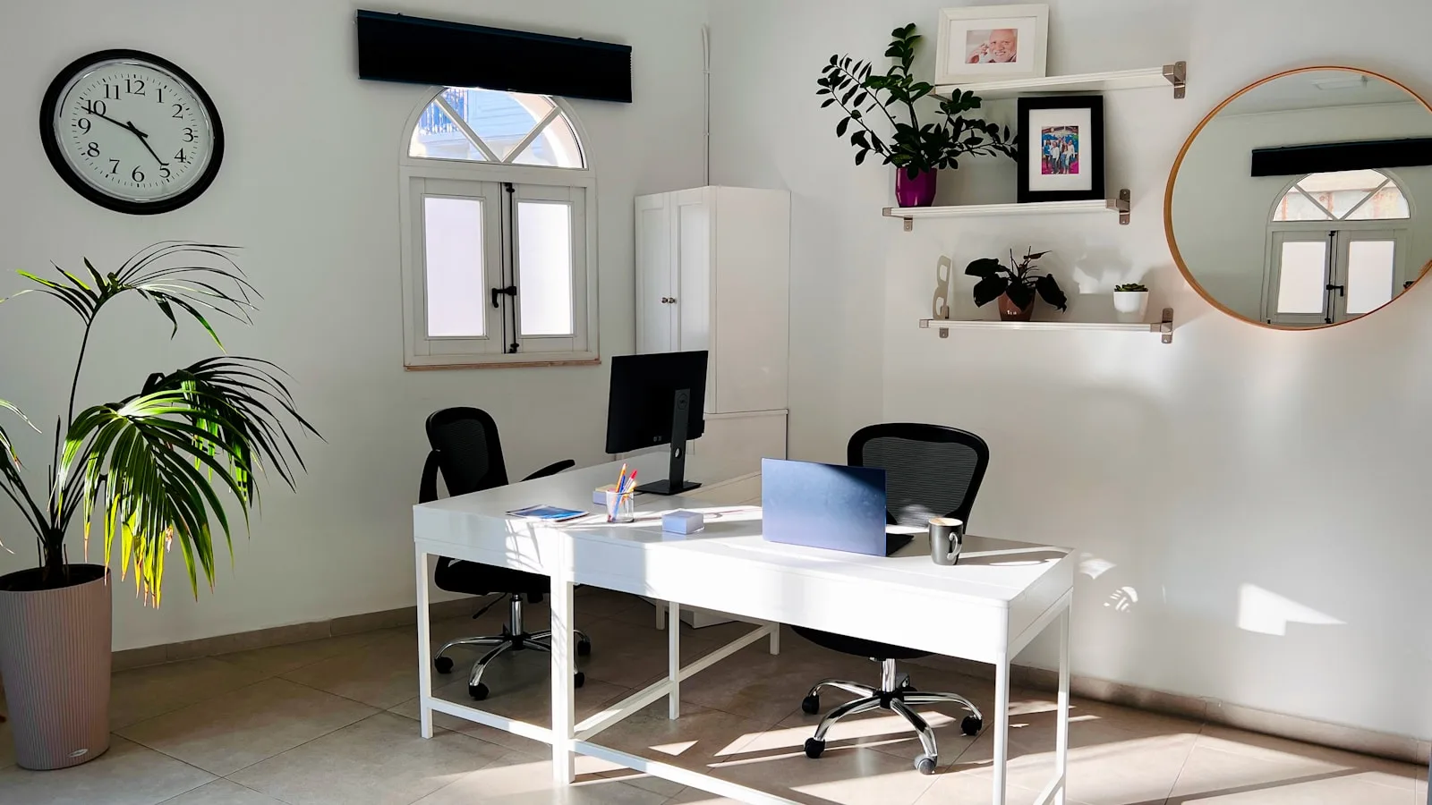 Decor cây xanh trong nhà: chọn vị trí đẹp và dễ chăm